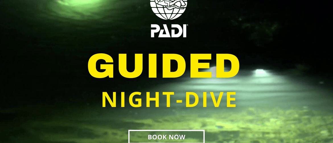 Full Moon Guided Night Dive