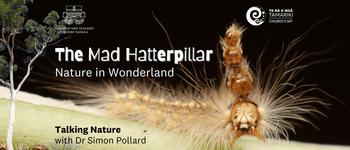 Talking NATURE: The Mad Hatterpillar - Nature in Wonderland: POSTPONED