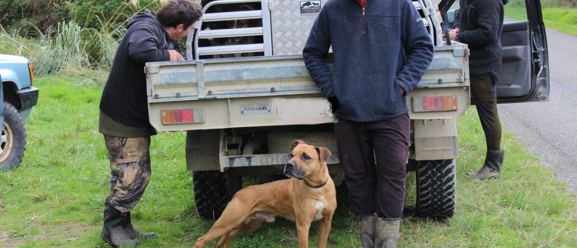 Kiwi Avoidance Training For Dogs