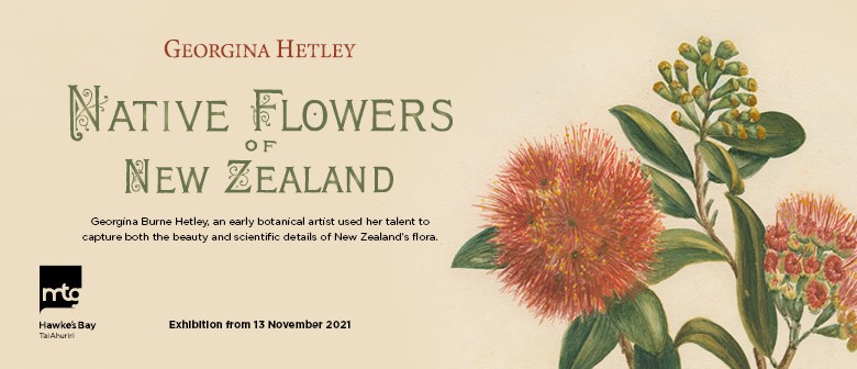 Native Flowers of New Zealand by Georgina Hetley