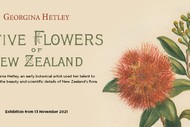 Native Flowers of New Zealand by Georgina Hetley