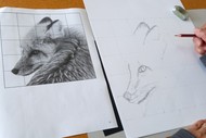 Image for event: Introduction to Drawing