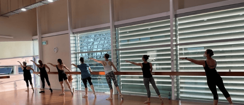 Open Level Ballet Dance Classes (17+ Years)
