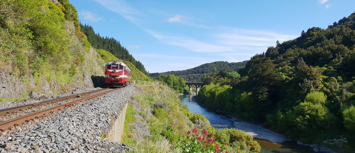 Manawatu Gorge Railcar Trips: SOLD OUT