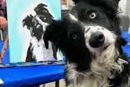 Image for event: Paint Your Pet with Paintvine