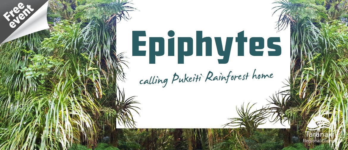 Epiphytes Calling Pukeiti Rainforest Home