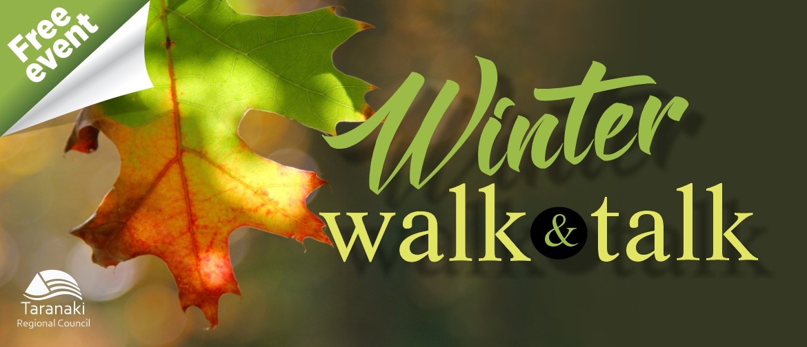 Winter Walk and Talk