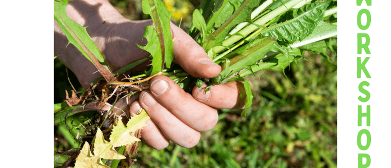 Kai Workshops: Edible Weeds