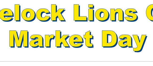 Havelock Lions Shortest Day Market