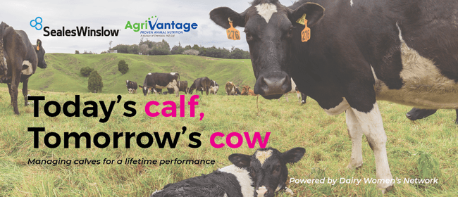 Today's Calf, Tomorrow's Cow
