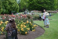 Image for event: Pacific Rose Bowl Festival