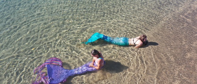 Learn to be a Mermaid
