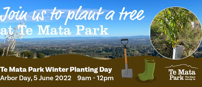 Te Mata Park Winter Planting Day