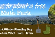 Te Mata Park Winter Planting Day