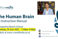 The Human Brain - Mangawhai 