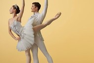 Image for event: Tutus on Tour