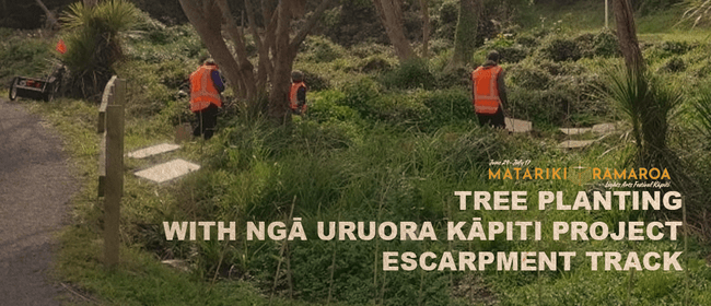 Tree Planting with the Ngā Uruora Kāpiti Project