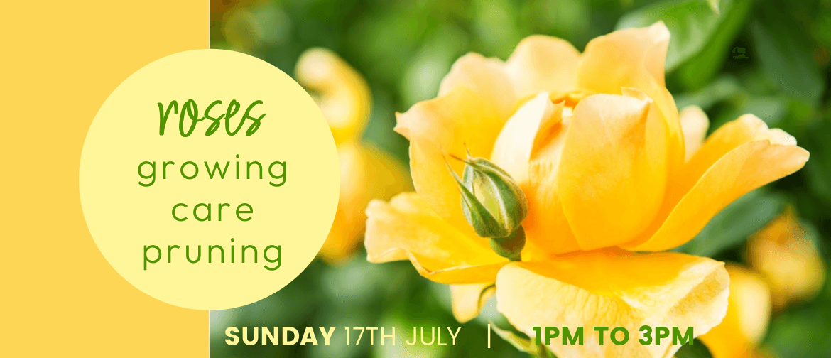 Auckland Rose Society - Rose Pruning Workshop