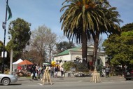 Image for event: Greytown Country Market