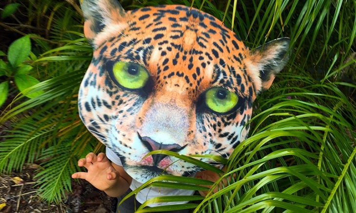 Animal Adventure Holiday Programme (Ages 5-7) - Auckland - Eventfinda