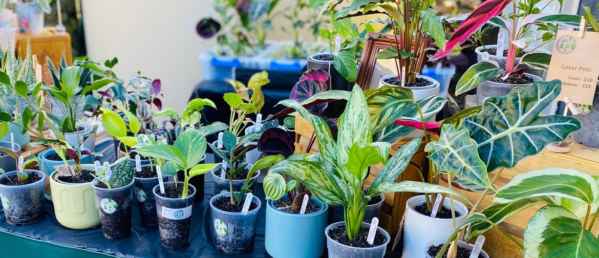 Matariki Houseplant and Accessories Pop-Up by TC Foliage Matariki Houseplant and Accessories Pop-Up by TC Foliage
