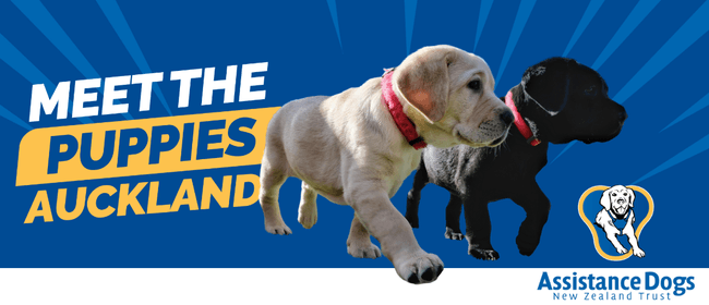 Meet the Puppies - Assistance Dogs New Zealand Trust