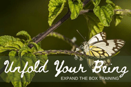 Image for event: Unfold Your Being: Expand the Box Training