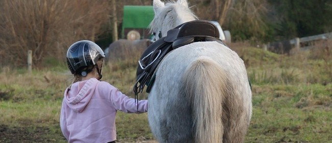 School Holiday Horse Riding - Lessons and Holiday Programmes