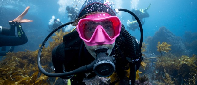 PADI Open Water Diver - Scuba Course - Learn to Dive