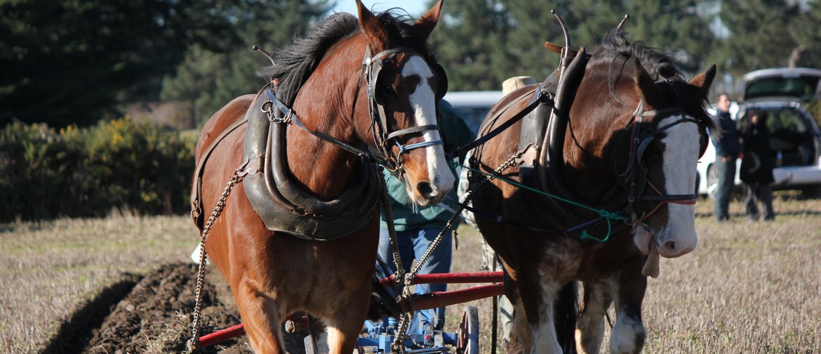 Ploughing Competition – Horse, Vintage and Silver Plough Ploughing Competition – Horse, Vintage and Silver Plough