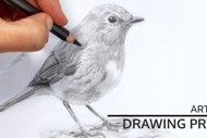Drawing Projects - Get Better Through Practice!