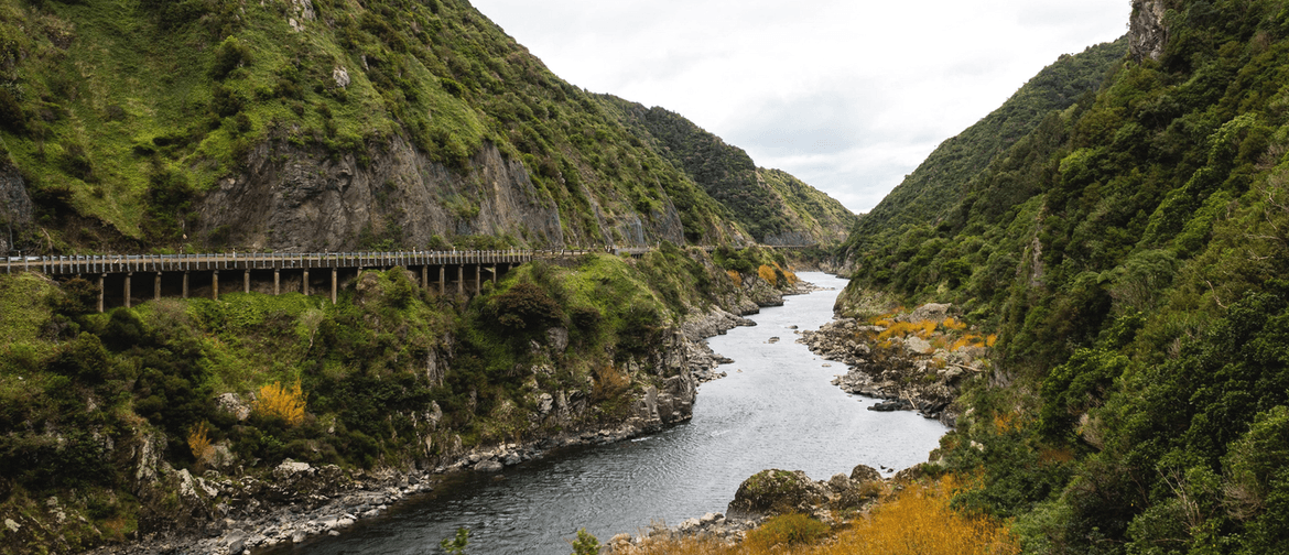 Manawatu Gorge Excursion – Afternoon