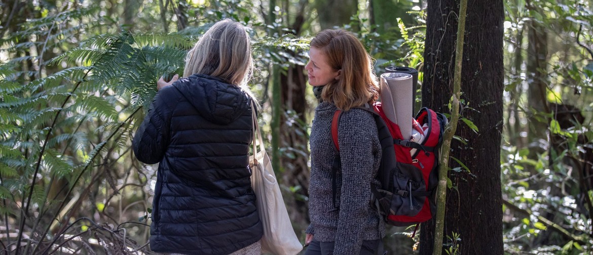 Wairarapa Nature Immersion Walk