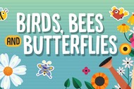 Birds, Bees and Butterflies