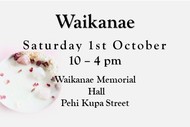 Image for event: Waikanae Holistic Wellbeing Spiritual Fair