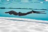 Image for event: Freediving Course and Spearfishing Charter Combo