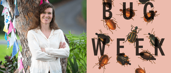 Between the Lines 2022 - Bug Week and Other Stories