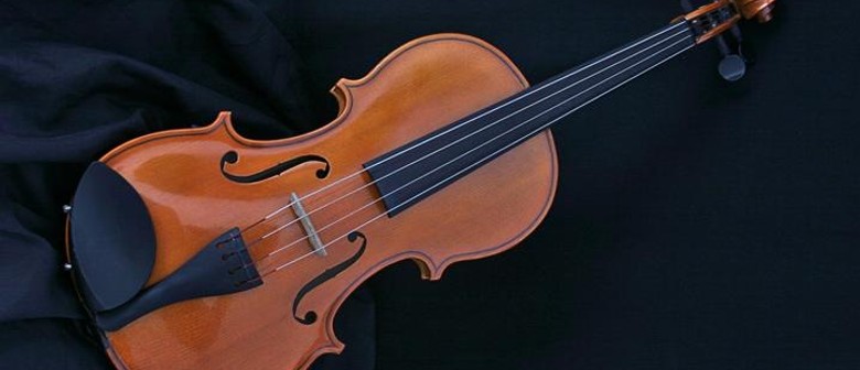 Martin Riseley, Violin
