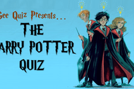Harry Potter Quiz - Napier