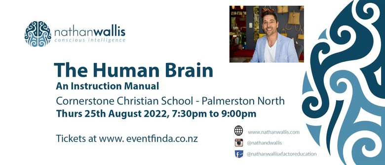 The Human Brain - Palmerston North