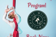Aerial Silks & Lyra Hoop School Holiday Program