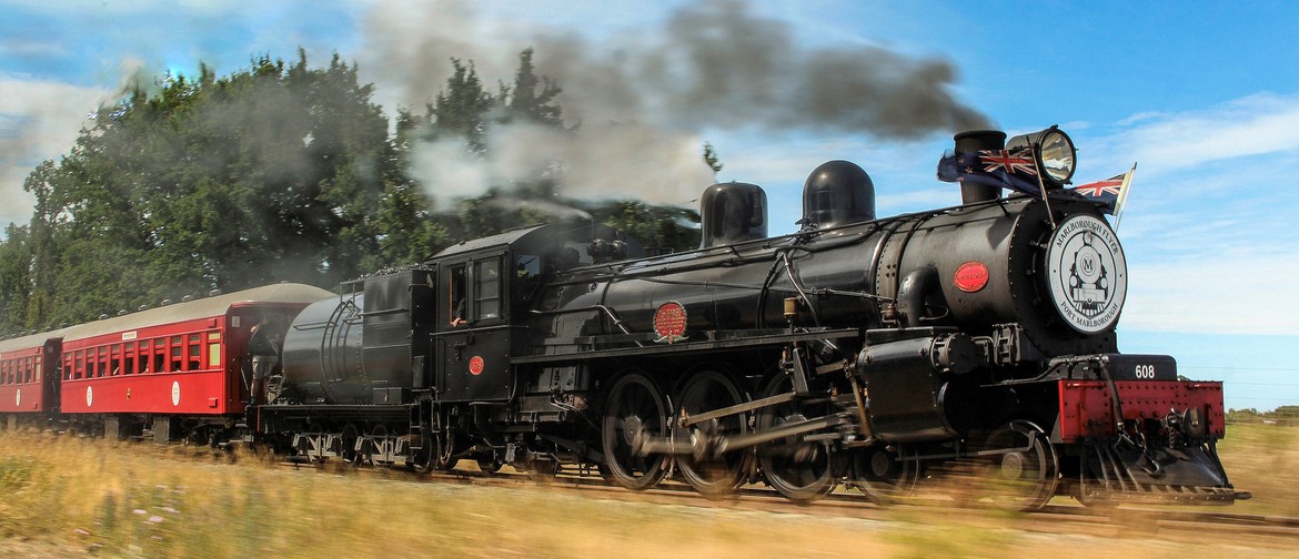 Marlborough Flyer Steam Train - Blenheim to Seddon (Return): POSTPONED