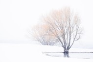 Winter Landscape Expressive  Photography Retreat - 7 Days