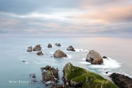 Wild South Island Photo Tour - 7 Days