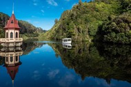 Image for event: Zealandia By Day Tour
