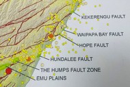 Kaikōura Coast Tour: Earthquakes, Māori History, & Whaling