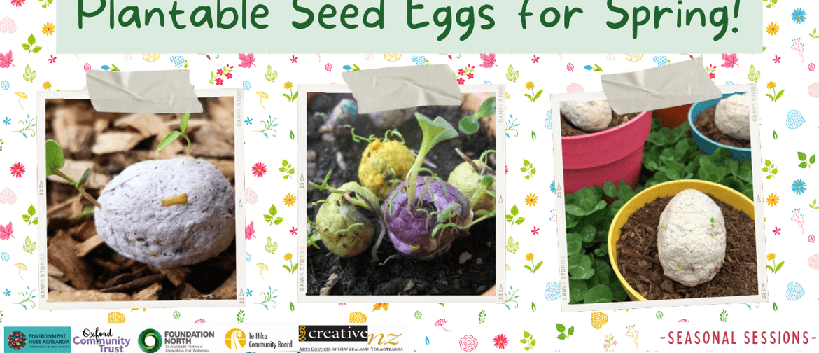 Plantable Seed Eggs for Spring
