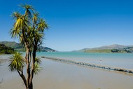 Image for event: 15 Head of the Harbour Heritage & Ōhinetahi Gardens