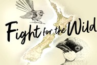 Image for event: Picton Dawn Chorus - Fight For The Wild