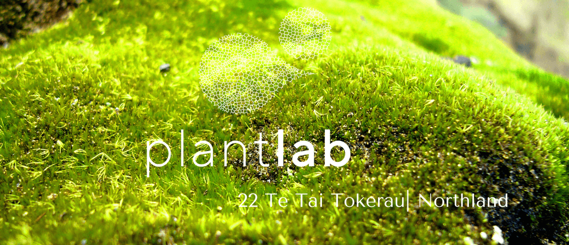 PlantLab 22: Te Tai Tokerau – Open Day